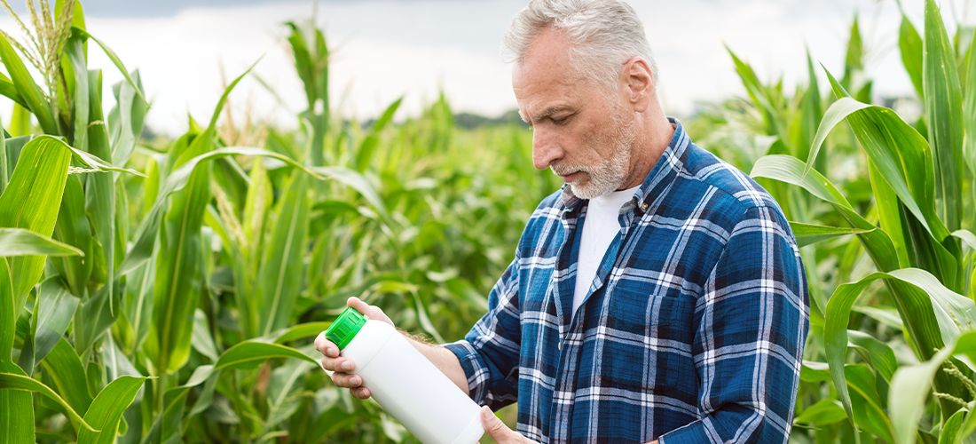 produtor a observar rótulo de produto num campo de milho