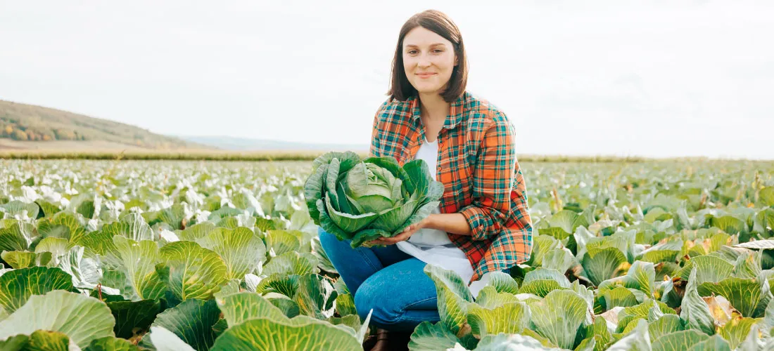 Front view copy space looking at camera young woman farmer squats holding a head of cabbage in her hand. A good working day, the harvest has come to an end. Farming concept family agribusiness.