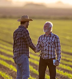 two farmers shaking hands on a corn field