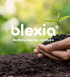 Farmer's hands planted saplings on the ground and the green background blur, with Blexia logo over. Blexia is the bioprotection brand from Ascenza.