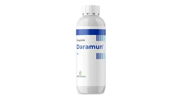 Daramun