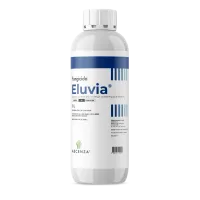 Eluvia mockup